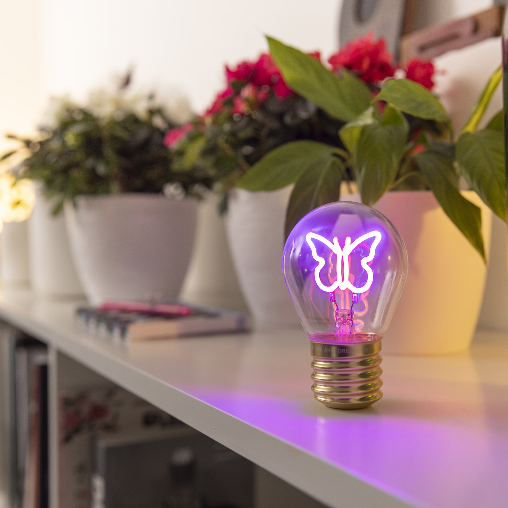 Legami Tischlampe in Glühbirnendesign Bulb Fiction Butterfly Schmetterling Legami Tischlampe in Glühbirnendesign Bulb Fiction Butterfly Schmetterling