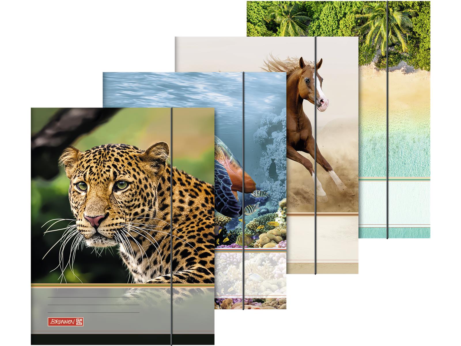 Brunnen Sammelmappe A4 Tiere mit Gummizug sortiert