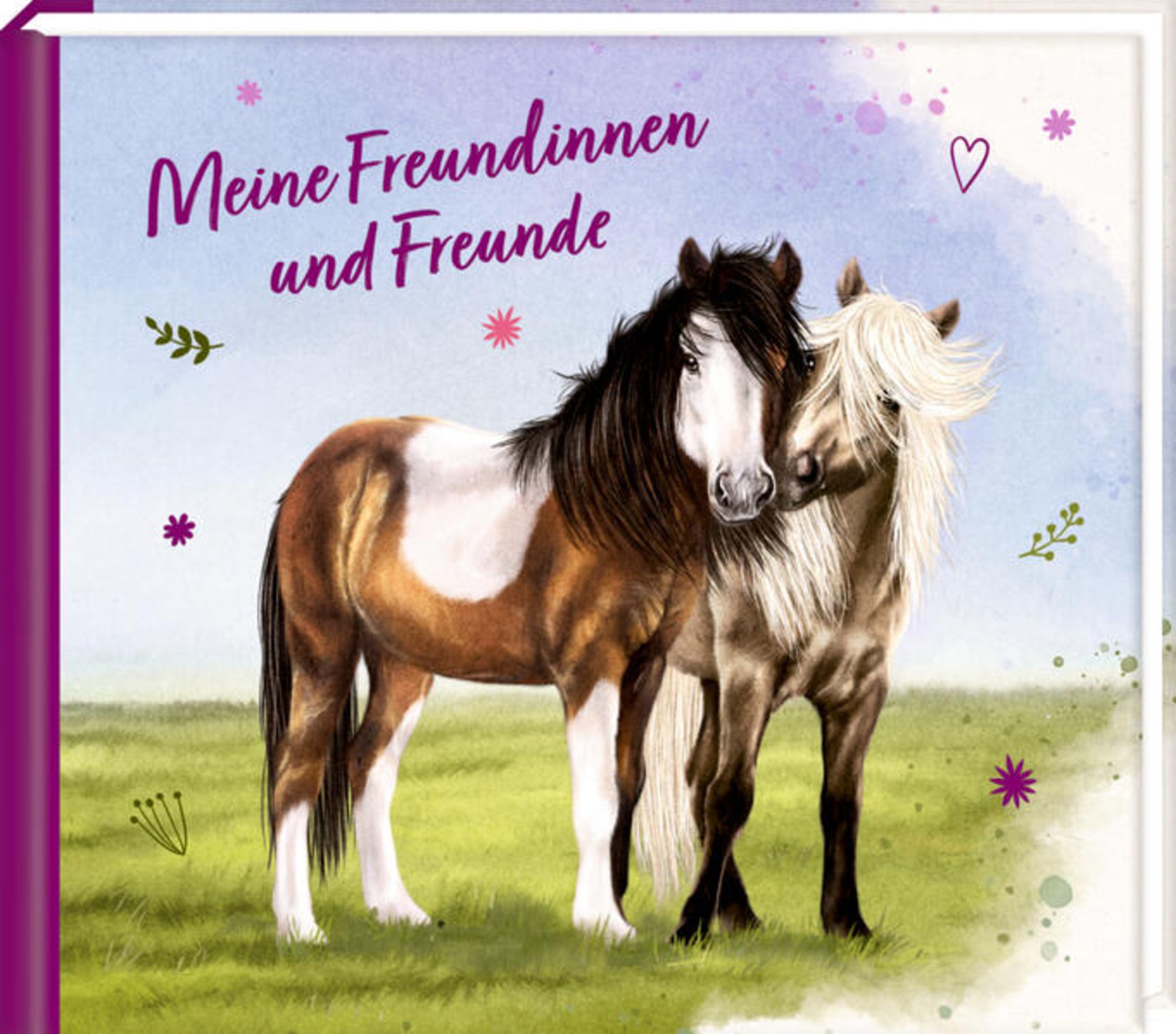 Coppenrath Meine Freunde Pferdefreunde 