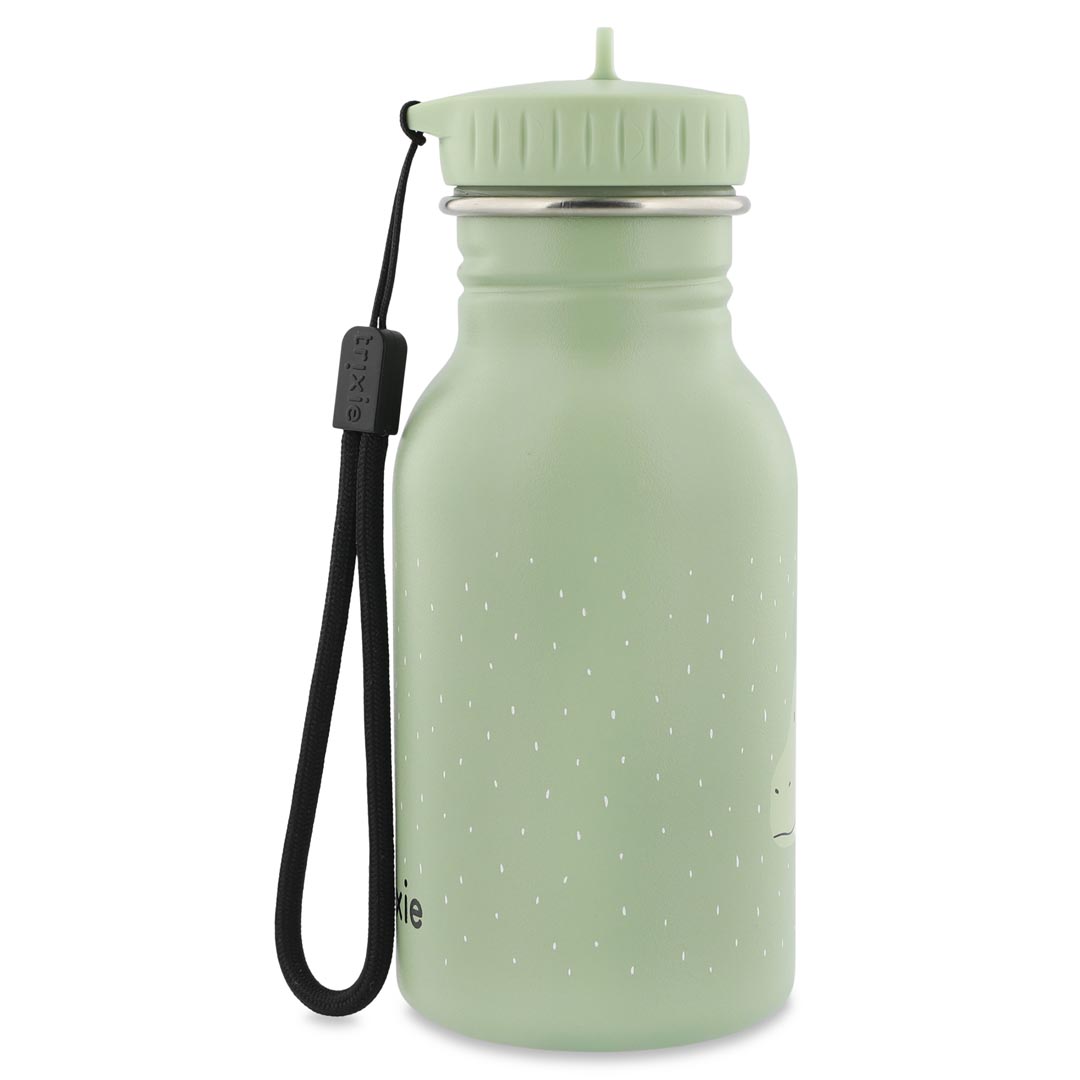 Trixie Trinkflasche aus Edelstahl Drache 350ml personalisiert