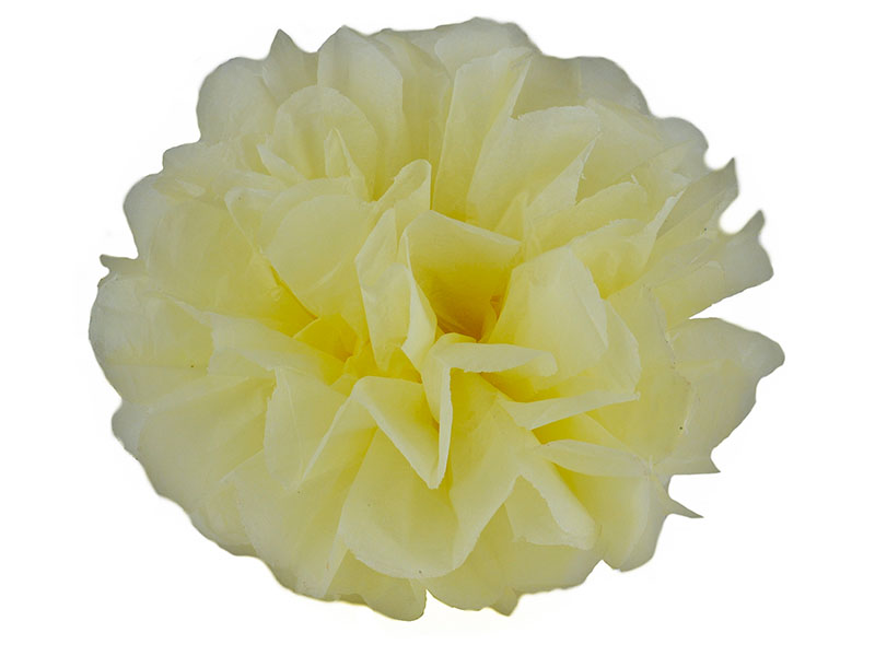 Elfenstall Seidenpapier PomPom in ivory 15 cm