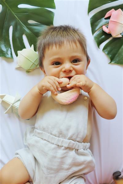 Oli & Carol Flamingo Baby-Beißring Sky the Flamingo Naturkautschuk