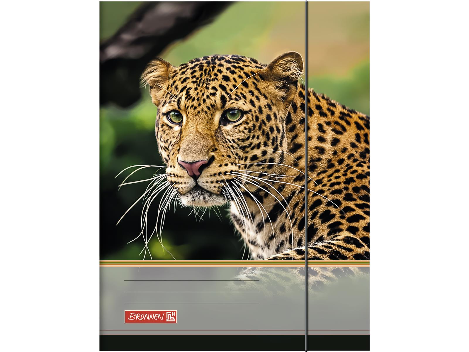 Brunnen Sammelmappe A4 Tiere mit Gummizug sortiert