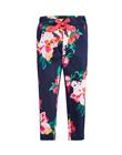 Tom Joules Hose Kinderhose Babyhose Young Jazz blau 2 Jahre Tom Joules Hose Kinderhose Babyhose Young Jazz blau 2 Jahre