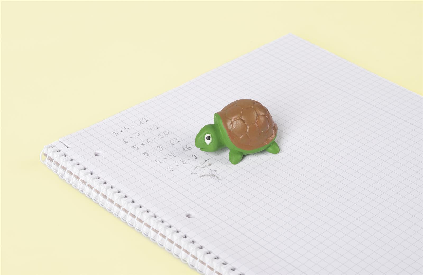 Brunnen Radiergummi Schildkröte