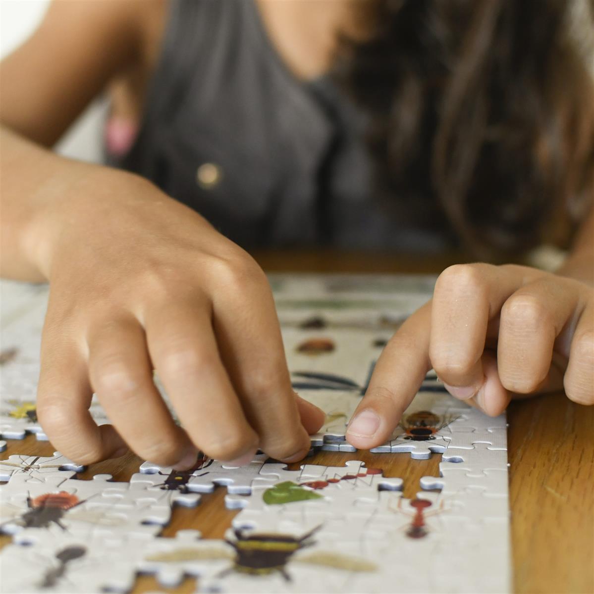 Poppik Discovery Puzzle Motiv Insekten 500 Teile