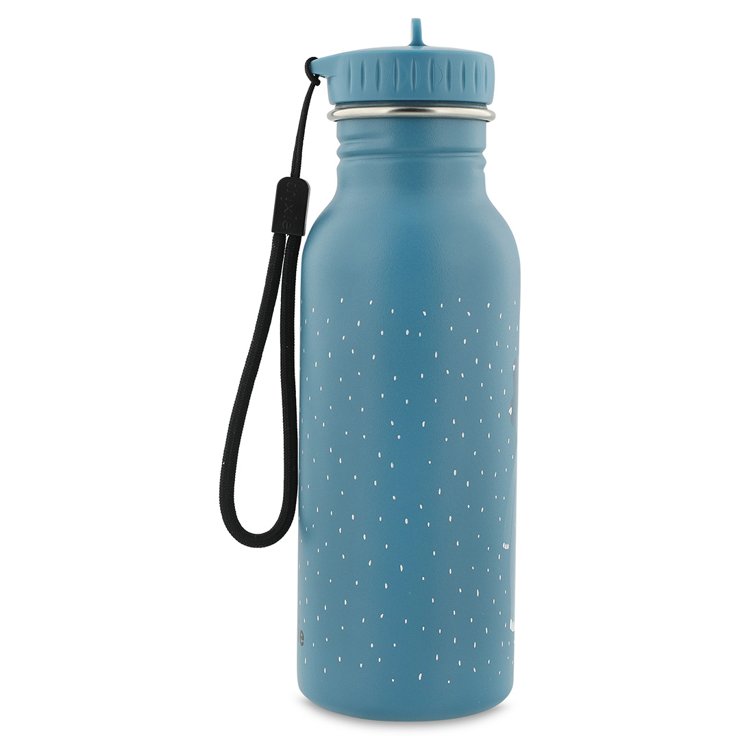 Trixie Trinkflasche aus Edelstahl Triceratops Dino 500ml personalisiert Trixie Trinkflasche aus Edelstahl Triceratops Dino 500ml personalisiert