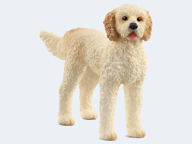 Schleich Farm World 13939 Goldendoodle