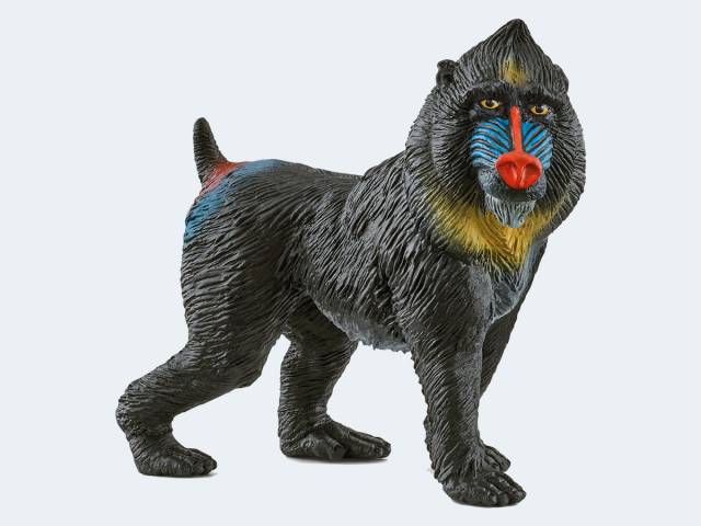Schleich Wild Life 14856 Affe Mandrill