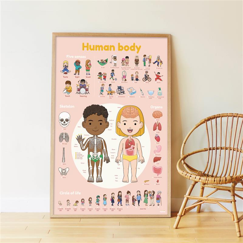 Poppik Stickerposter Discovery + 48 Sticker Motiv Der menschliche Körper 4-7 J.