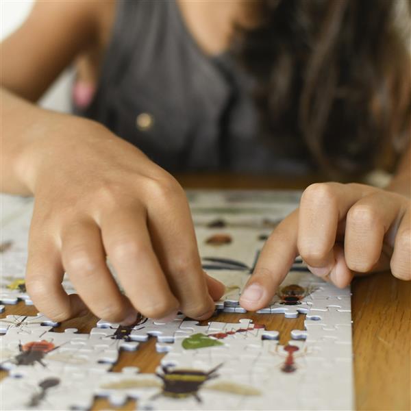 Poppik Discovery Puzzle Motiv Insekten 500 Teile