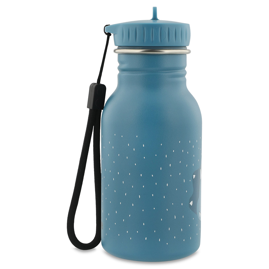 Trixie Trinkflasche aus Edelstahl Mr Triceratops Dino 350 ml 