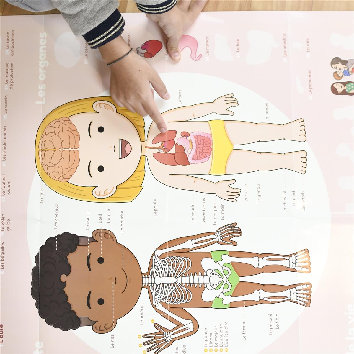 Poppik Stickerposter Discovery + 48 Sticker Motiv Der menschliche Körper 4-7 J.