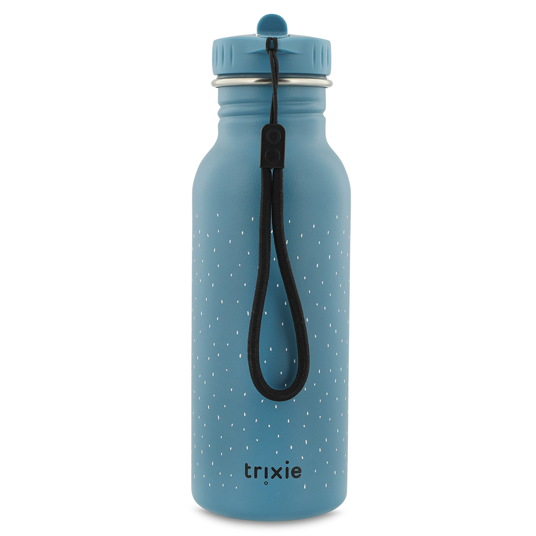 Trixie Trinkflasche aus Edelstahl Mr Triceratops Dino 500 ml