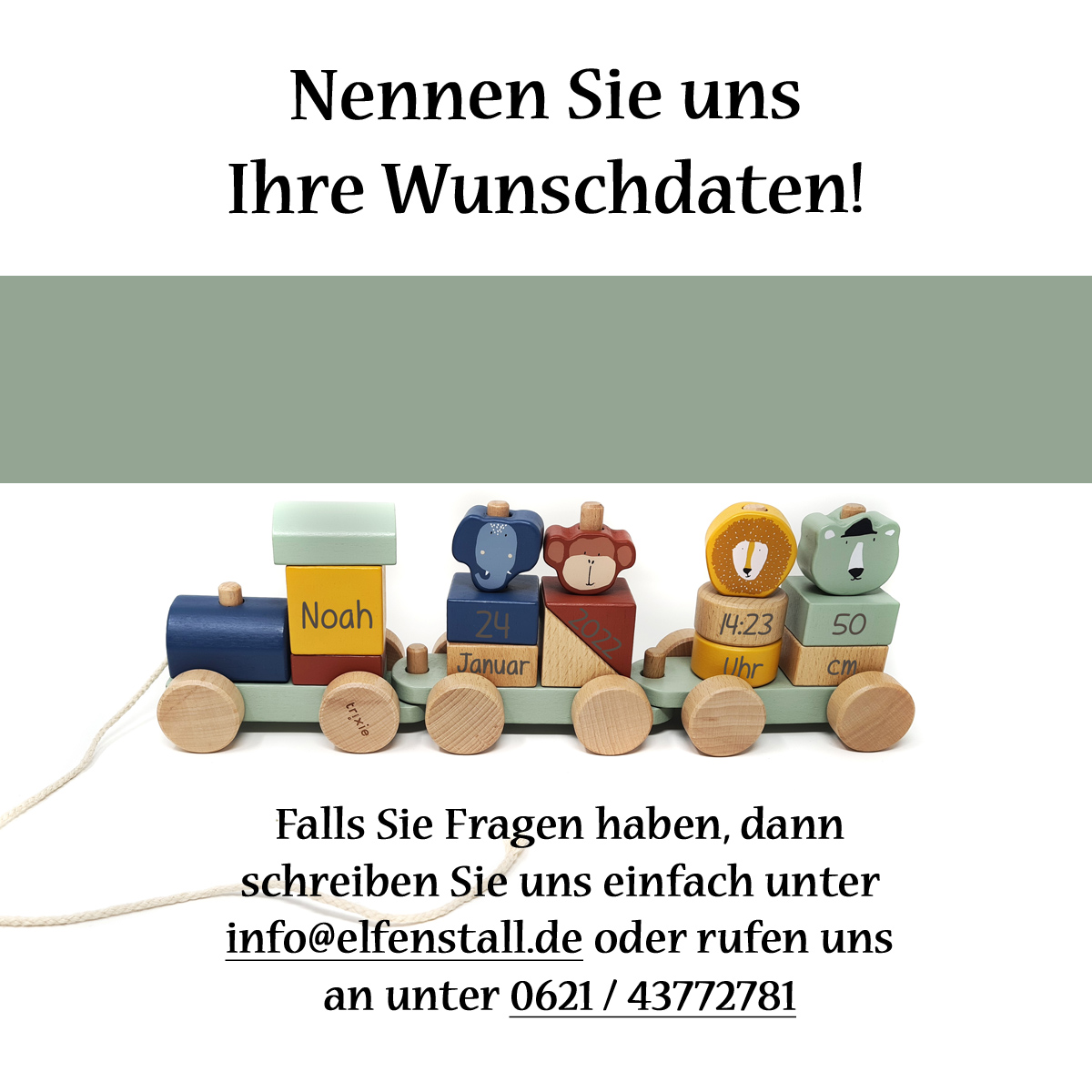 Trixie Zug Steckzug Eisenbahn aus Holz Holzspielzeug personalisiert