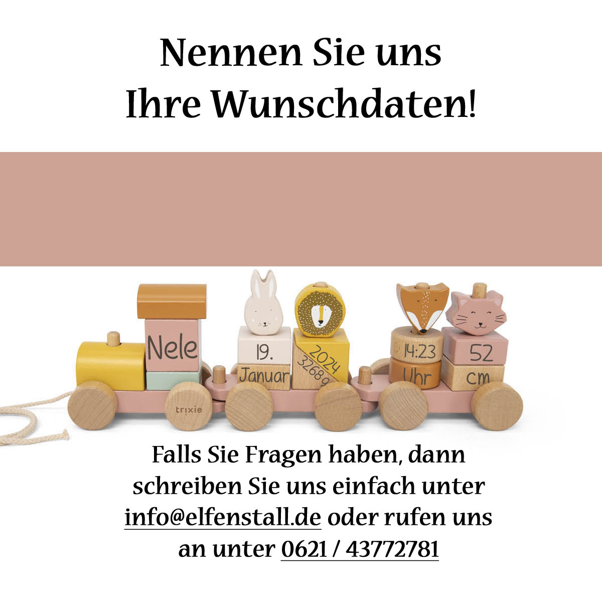 Trixie Baby Holz-Zug Steckzug Eisenbahn mit Tieren Mrs Cat rosa, personalisiert