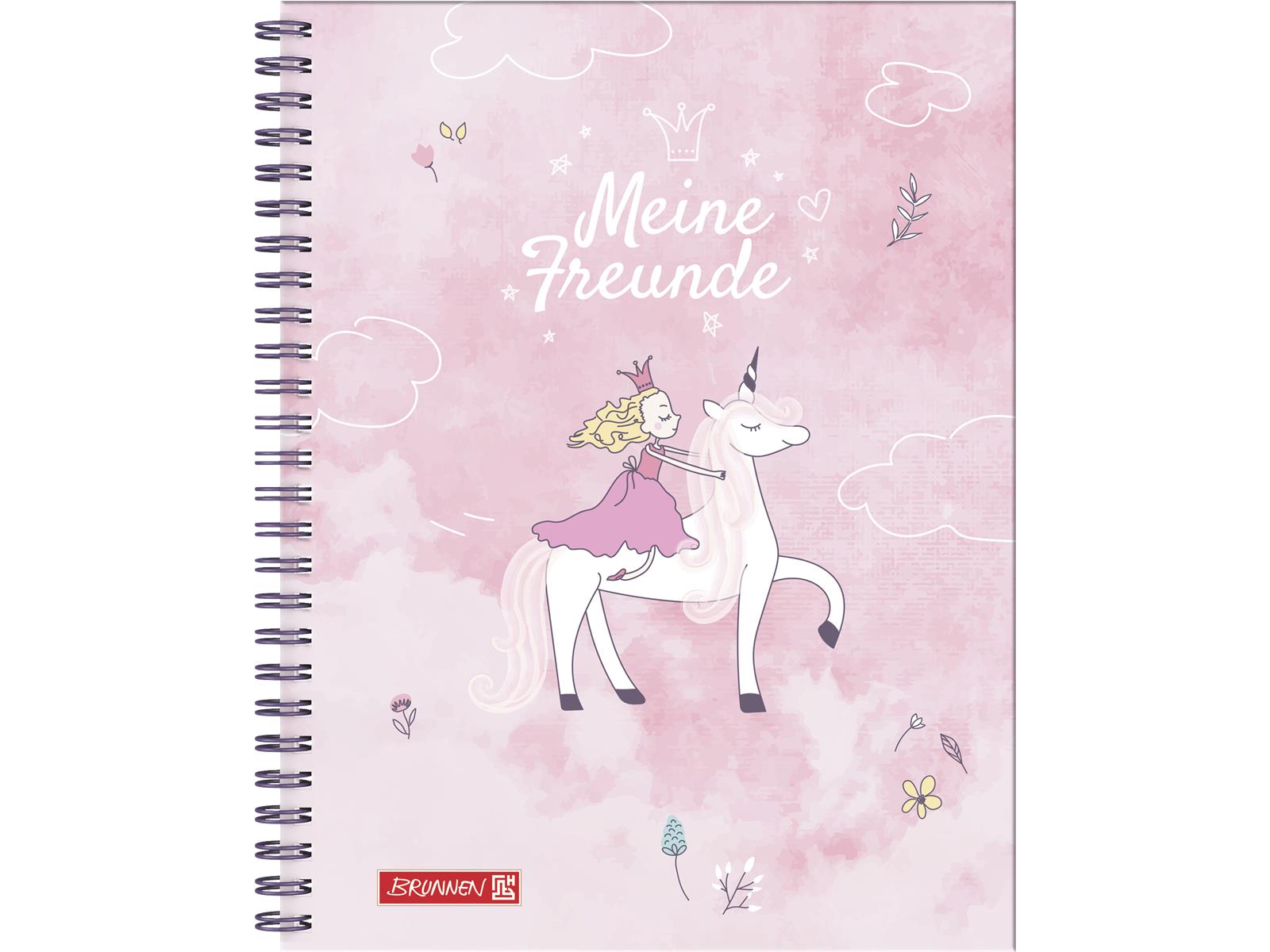 Brunnen Freundebuch Princess