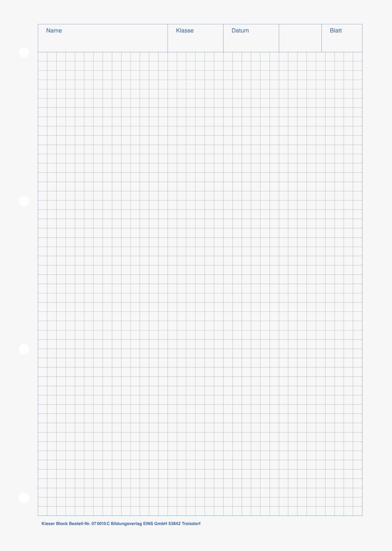 Brunnen Kieserblock Din A4 Lineatur 15C kariert mit blauem Rand