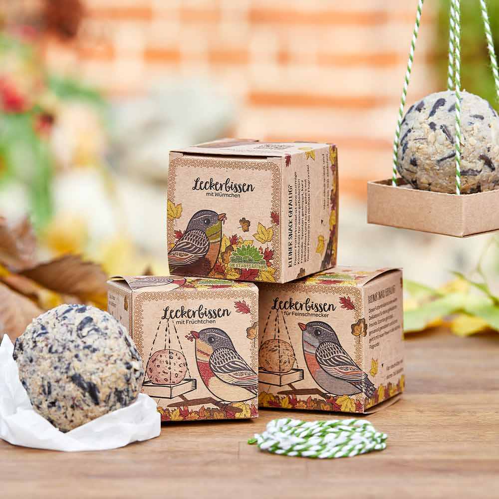 Die Stadtgärtner Leckerbissen Früchtchen Futterknödel für Wildvögel Die Stadtgärtner Leckerbissen Früchtchen Futterknödel für Wildvögel