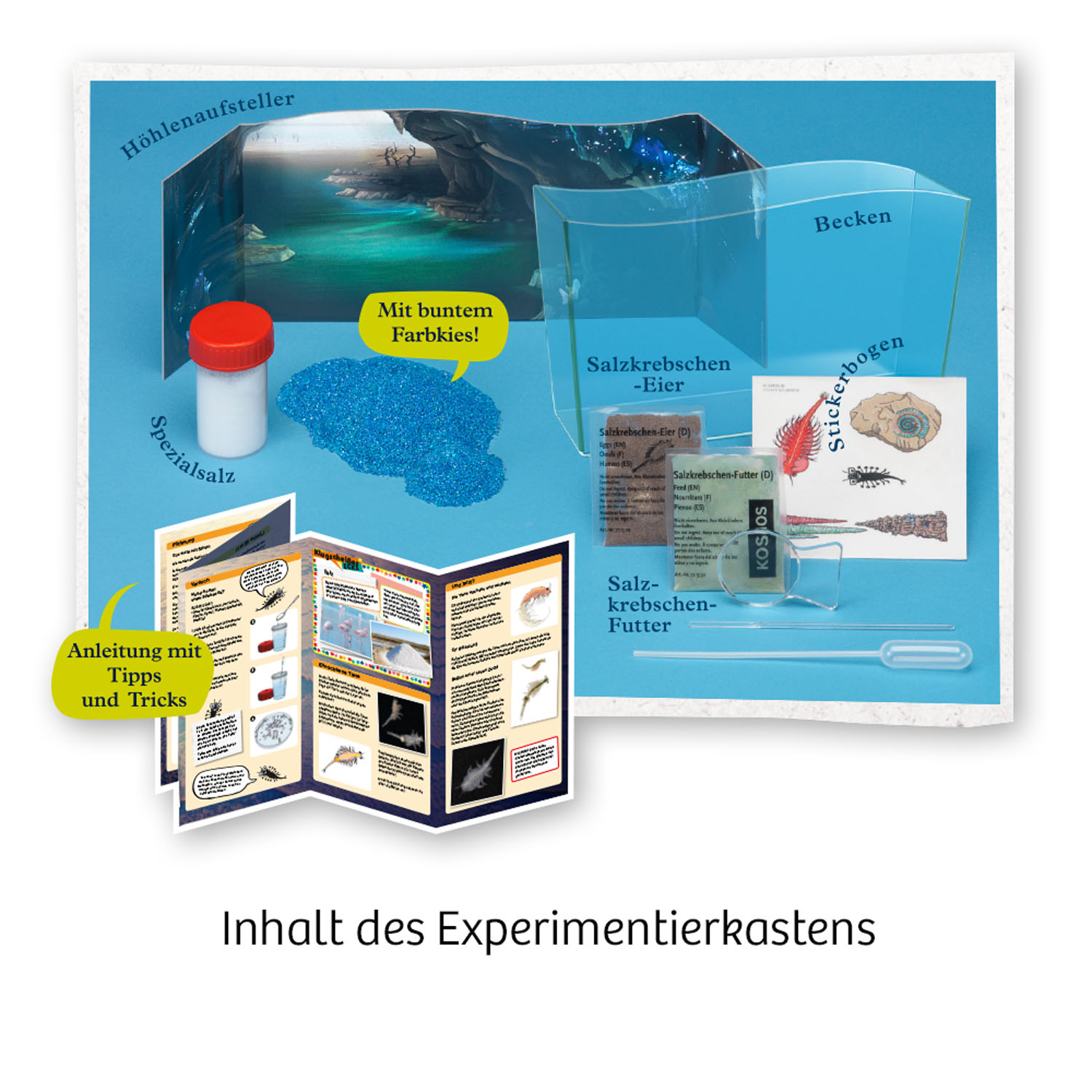 Kosmos Fun Science Wuselnde Salzkrebse