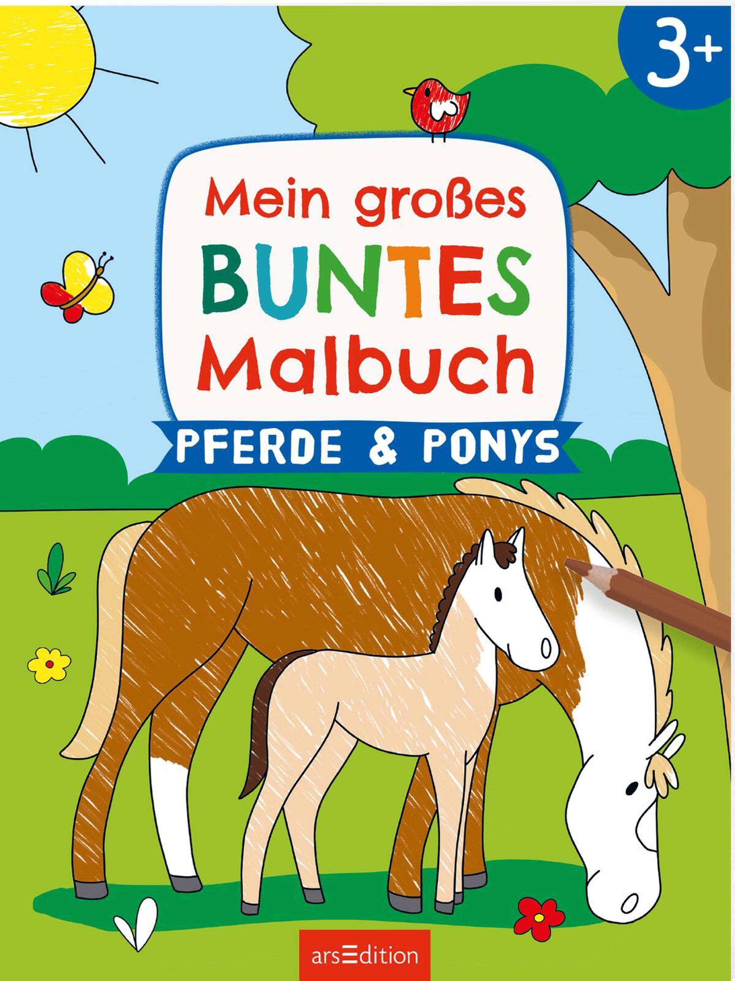 Mein großes buntes Malbuch Pferde & Ponys