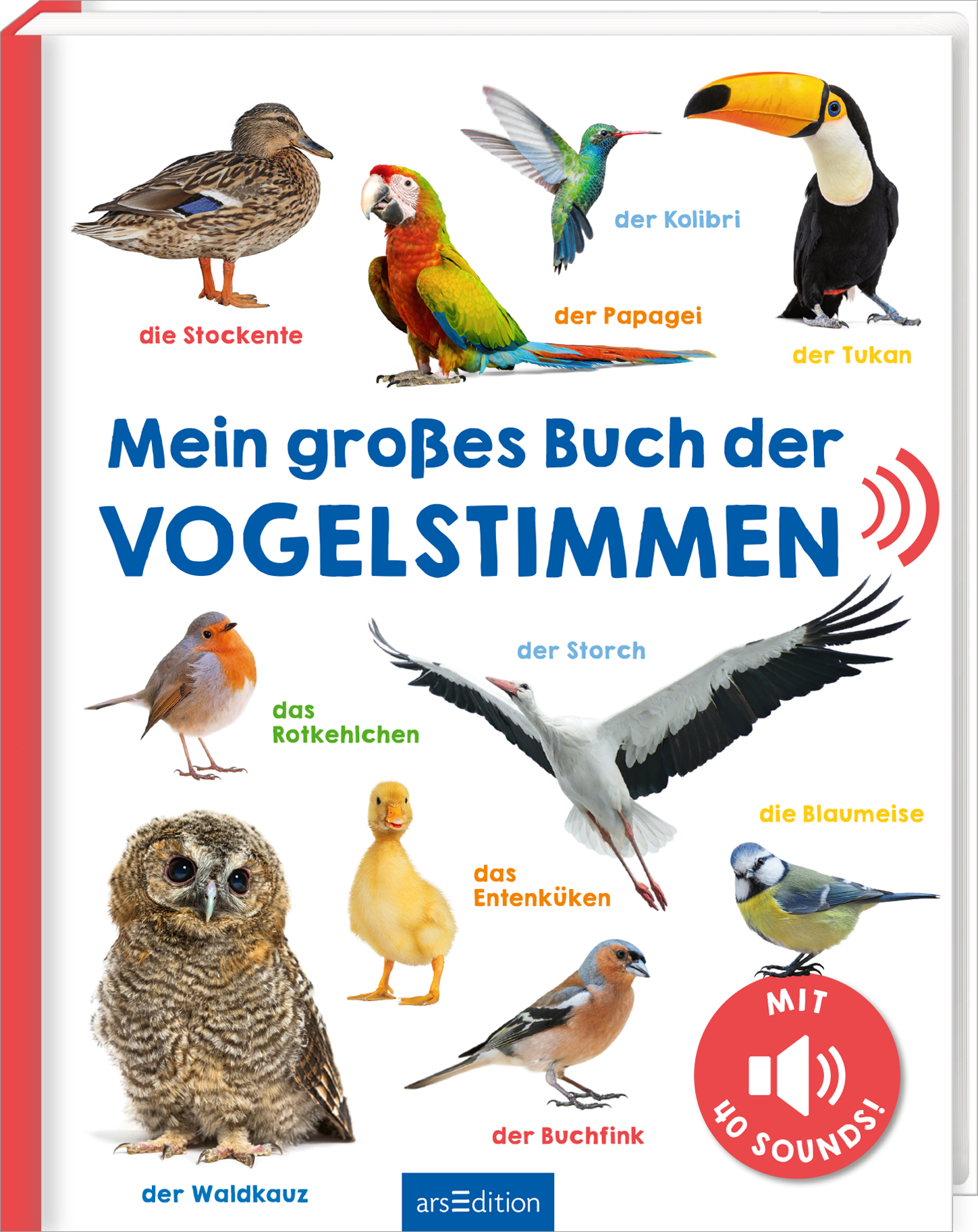 ArsEdition Mein großes Buch der Vogelstimmen