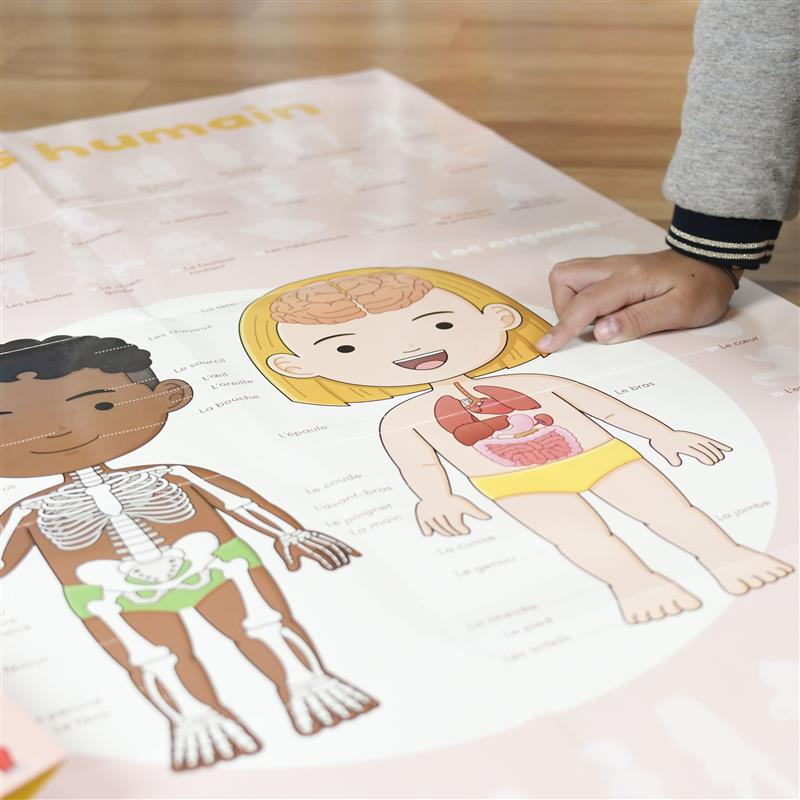Poppik Stickerposter Discovery + 48 Sticker Motiv Der menschliche Körper 4-7 J.