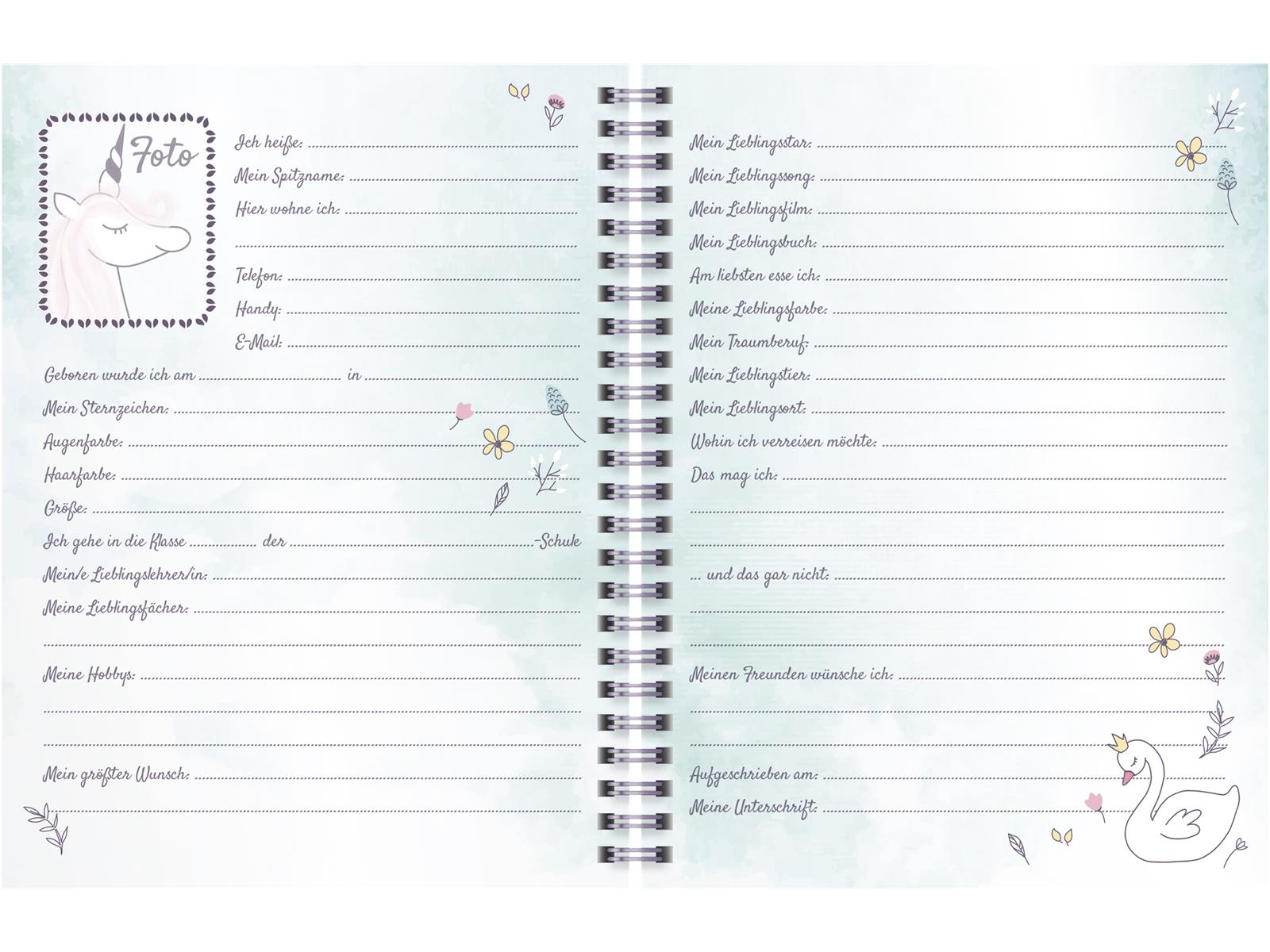 Brunnen Freundebuch Princess