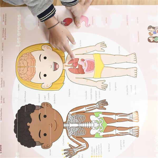 Poppik Stickerposter Discovery + 48 Sticker Motiv Der menschliche Körper 4-7 J.