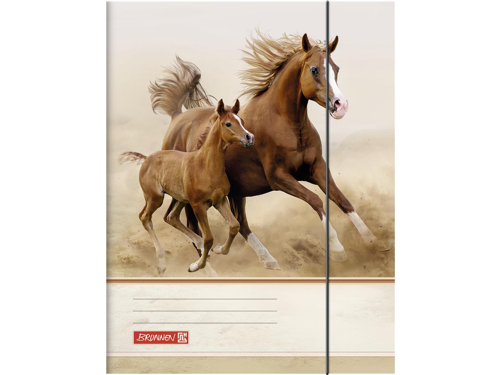 Brunnen Sammelmappe A4 Tiere mit Gummizug sortiert