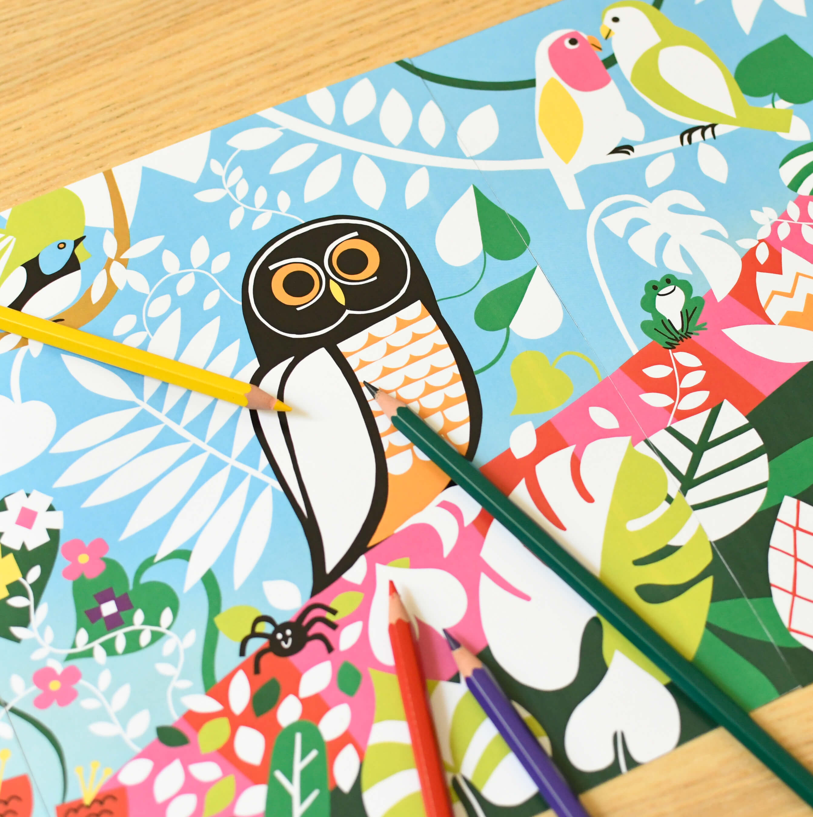 Poppik Poster zum Ausmalen Regenwald ab 5 Jahren Poppik Poster zum Ausmalen Regenwald ab 5 Jahren