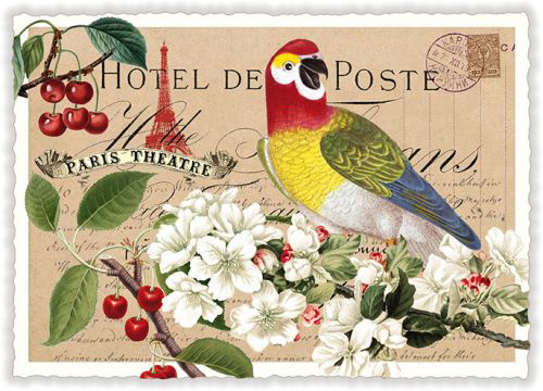 Acte tre Postkarte Grußkarte Papagei