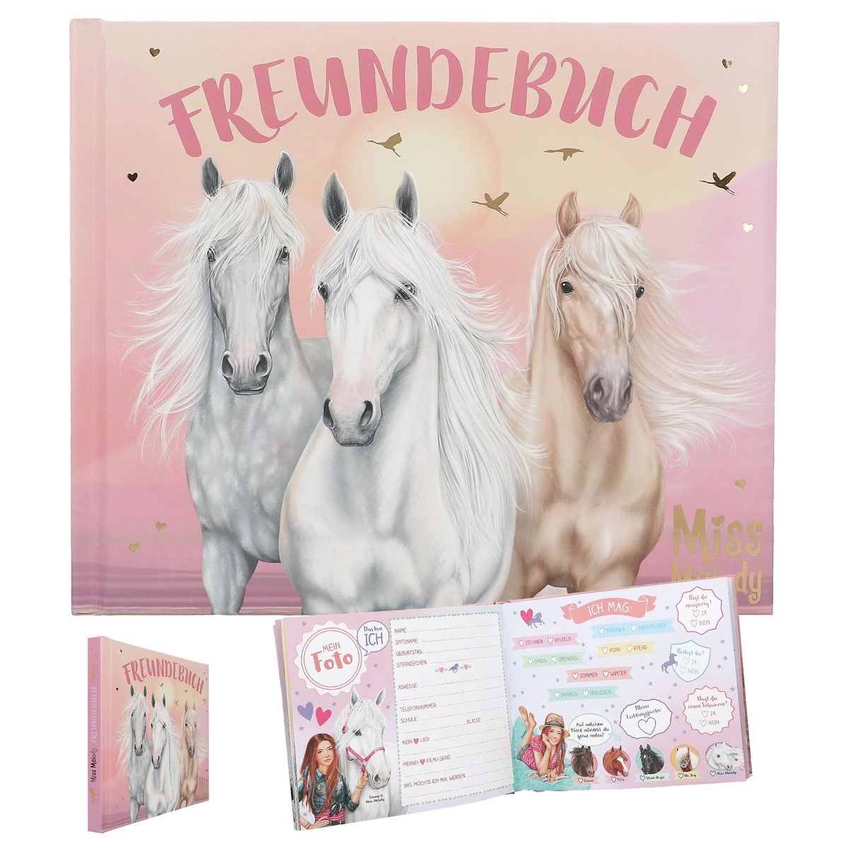 Miss Melody Freundebuch Sundown Pferde Motiv 1