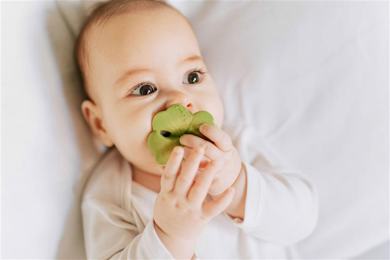 Oli & Carol Kleeblatt Baby-Beißring Baby-Beißring Chewy to go Eli the Clover Oli & Carol Kleeblatt Baby-Beißring Baby-Beißring Chewy to go Eli the Clover