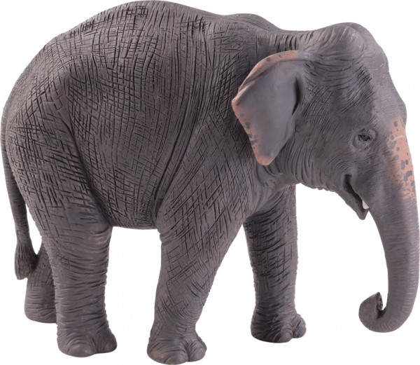 Animal Planet Asiatischer Elefant 387266
