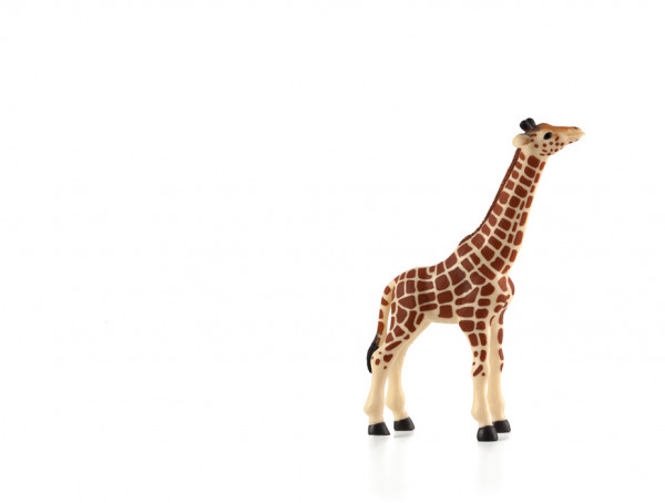 Animal Planet Giraffe Fohlen, 387007