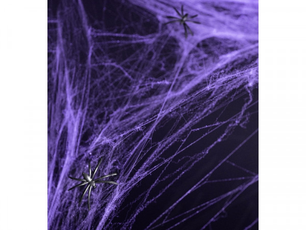 Spinnennetz für Halloween mit Spinnen in lila, 60 g