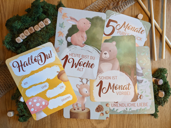 SBL Design Meilensteinkarten Baby Motiv Waldtiere Set aus 7 Karten